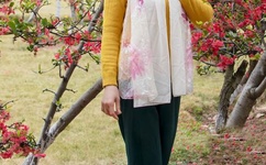 塞跳D开最大挡不能掉